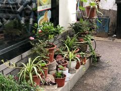 -家烧面馆【南山路知名经典面食】