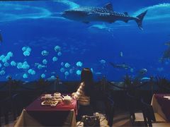 -雨林餐厅(长隆海洋王国店)