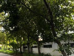 -福建博物院