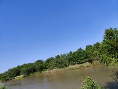 -宁波杭州湾国家湿地公园