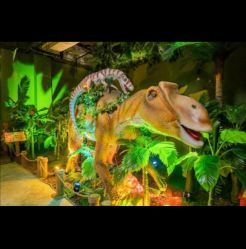 -恐龙探索乐园(磁器口店)