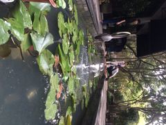 T馆-T館·花园艺术餐厅