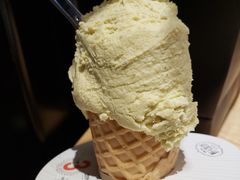 开心果-野人先生现做冰淇淋(北京顺义祥云小镇店)