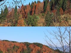 -山王坪喀斯特国家生态公园