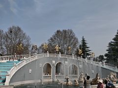 -洛阳郁金香牡丹园