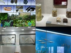 -南京中医药大学(仙林校区)