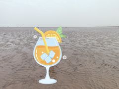 -南汇新城海滩