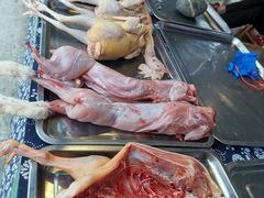 -秀丽东方