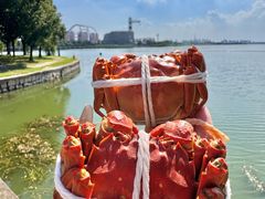 -蟹天蟹地农家菜·阳澄湖大闸蟹(浅水湾店)