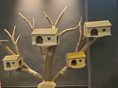 -太平洋海底世界