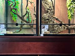 -帕帕拉兹宠物(亚洲旗舰店)