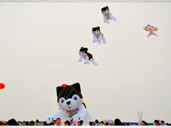 -潍坊滨海云门国际风筝放飞场