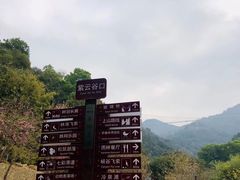 -南丹山森林王国