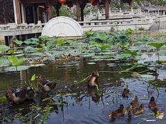 -惠州西湖风景名胜区-丰渚园