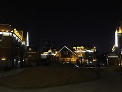 -天津津利华酒店