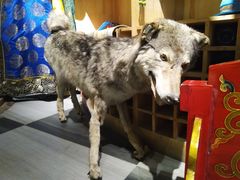 -老阿妈蒙古村·蒙古包·草原文化·歌舞表演(老君堂店)