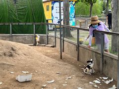 -前小桔亲子创意农场·草莓采摘·露营烧烤