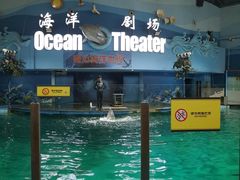 -苏州海洋馆