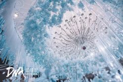 -DNA Wedding 婚礼记(上海店)