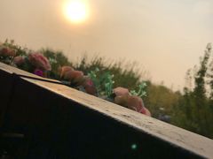 -南宫温泉水世界