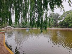-团结湖公园