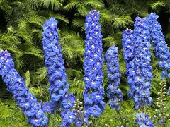 -国家植物园南园