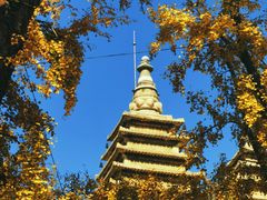 -北京石刻艺术博物馆(五塔寺)