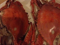 iphone_upload_pic-汇泉王朝大饭店-旋转餐厅(南海路店)