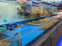 -望海湾鱼头泡饼·天津菜(空港店)