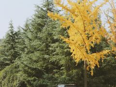 -陕西师范大学(雁塔校区)