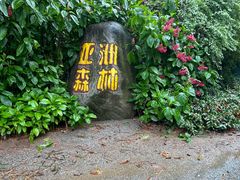 -广州长隆野生动物世界