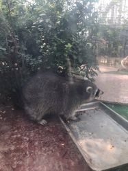 -萌宠亲子动物乐园(槐房万达店)