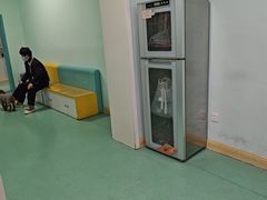 -北京观赏动物医院·24小时大型综合·猫专科·异宠专科