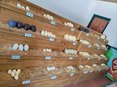 -杭州野生动物世界