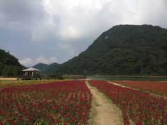 -广州市石门国家森林公园
