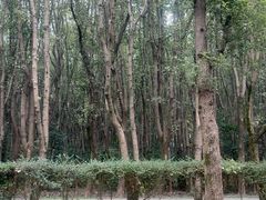 -同里国家湿地公园