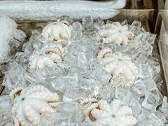 -铭聚章鱼土笋冻(松柏店)