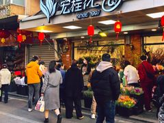 -溪岸路花鸟市场