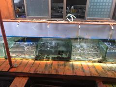 -蓝湾碧波·老字号·疍家非遗海上餐厅