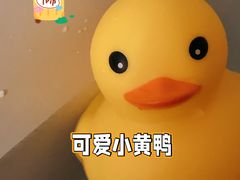 -厦门威斯汀酒店