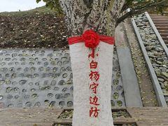 -肥福排档(星光店)