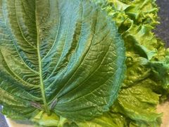 -完美生活炭火烤肉(二马路店)