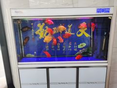 -仙都辣酱鸭(总店)