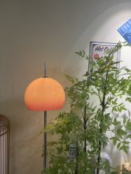 -变美丽半永久纹眉连锁·机器野生眉•洗眉