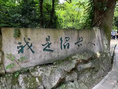 -鲁镇
