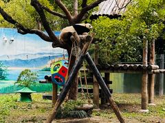 -上海野生动物园