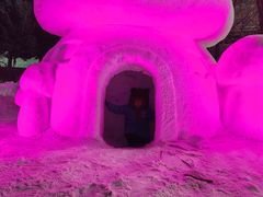 -沈阳奥体冰雪嘉年华