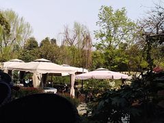 -茅庐·川粤精品私房菜(金沙遗址店)