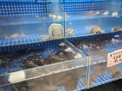 -云南巷海鲜大咖·可加工海鲜