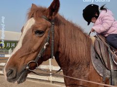 -月河湾马术俱乐部(朝阳店)